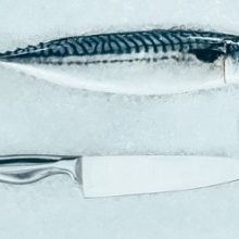 Best Fishing Fillet Knife