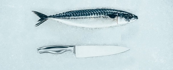 Best Fishing Fillet Knife
