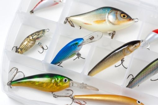 Best Fishing Lures