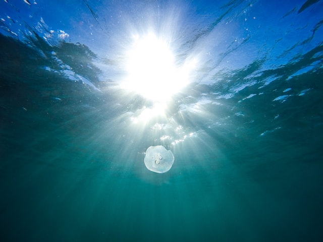 underwater cameras - lighting